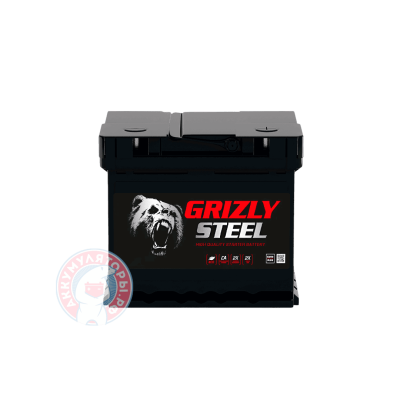 Аккумулятор Grizly Steel 6 CT 65Ач