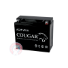 Аккумулятор Cougar 30 (YTX30L-BS)