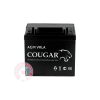 Аккумулятор Cougar 30 (YTX30L-BS)