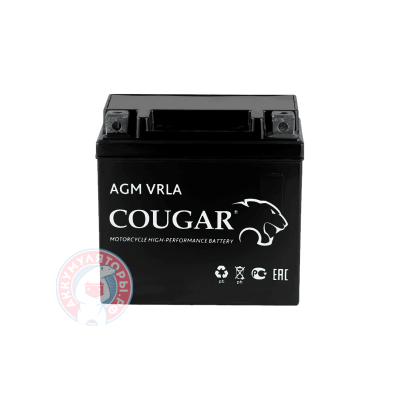 Аккумулятор Cougar 30 (YTX30L-BS)
