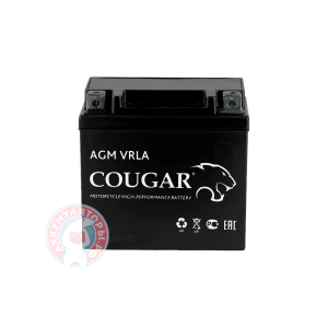 Аккумулятор Cougar 7 (YTX7A-BS)