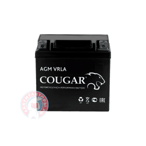 Аккумулятор Cougar 4 (YTX4L-BS)