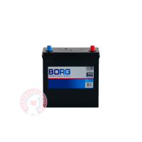 Аккумулятор Borg Standart  6 СТ 55Ач оп B24
