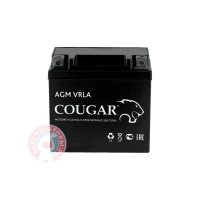 Аккумулятор Cougar 14 (YTX14-BS)