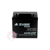 Аккумулятор Zubr 10 (YB9-BS)