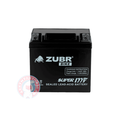 Аккумулятор Zubr 10 (YB9-BS)