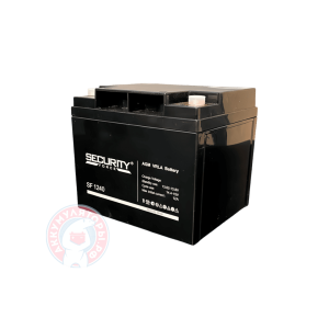 Аккумулятор Security Forse 100 (SF12100)