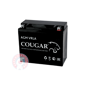 Аккумулятор Cougar 12 (YTZ14S)