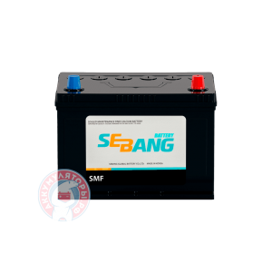 Аккумулятор Sebang 6 CT 55Ач оп D20