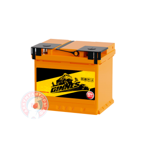 Аккумулятор Ginnes 6 CT 60Ач